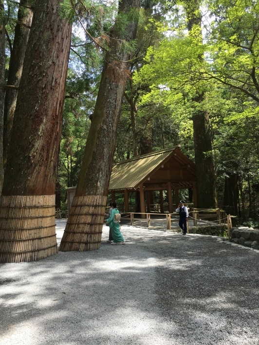 Tea Ceremony at Ise Jingu Shrine_d0334837_09361122.jpeg
