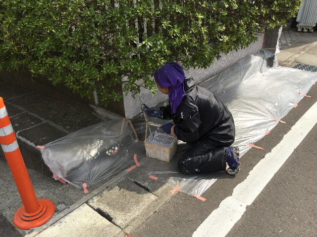 3日目の作業_f0031037_19152861.jpg