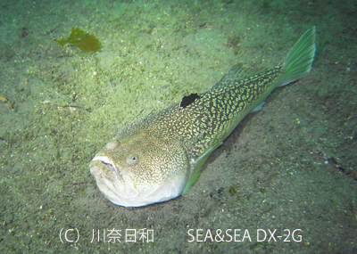 b0163039_15525559.jpg