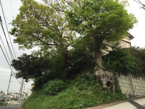 b0330040_17255966.jpeg