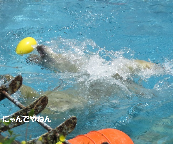 4月24日(日)続き_f0002743_13313958.jpg