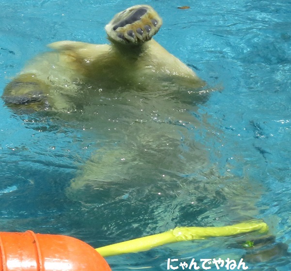 4月24日(日)続き_f0002743_13315526.jpg