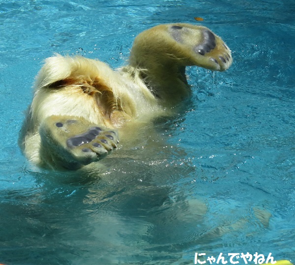 4月24日(日)続き_f0002743_13321078.jpg