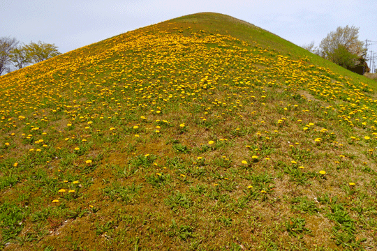 c0093046_8233876.gif