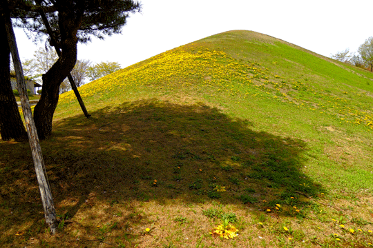 c0093046_824133.gif