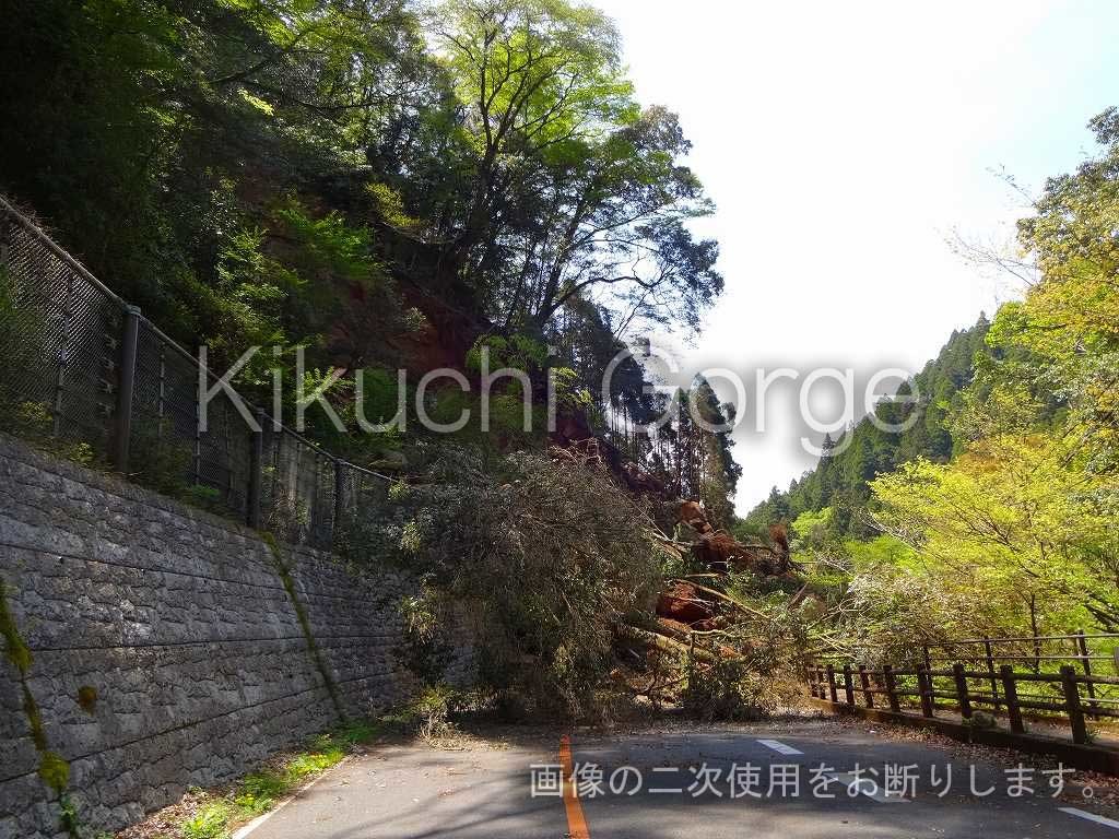 熊本震災による菊池渓谷被害状況_f0343947_11204935.jpg