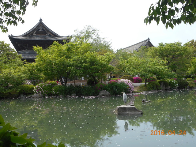 b0152049_2226111.jpg