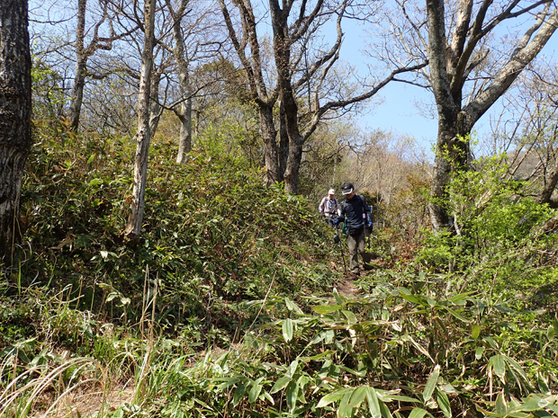 ギフチョウとお友だち・大江高山④_f0214649_5373811.jpg