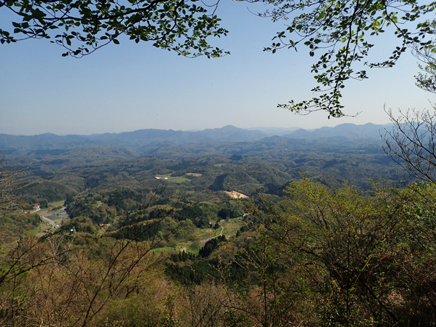 ギフチョウとお友だち・大江高山④_f0214649_5461285.jpg