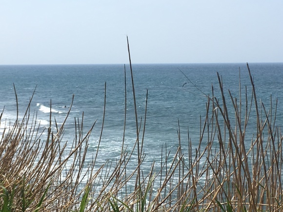 c0254151_21595415.jpeg