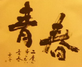 シャンソンの着物のお客様・猫の麦わらバッグ。_f0181251_1714543.jpg