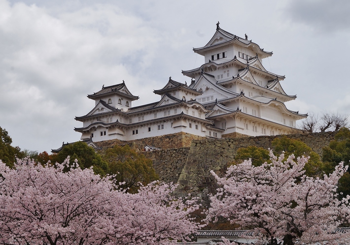 姫路城・西の丸の桜_b0063958_548256.jpg