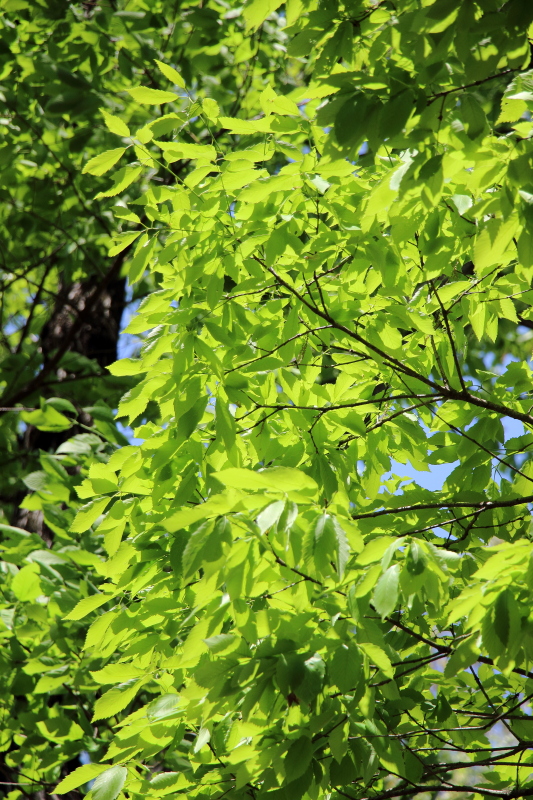 c0272958_2214071.jpg