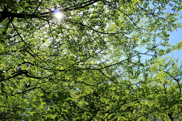 c0272958_22143468.jpg