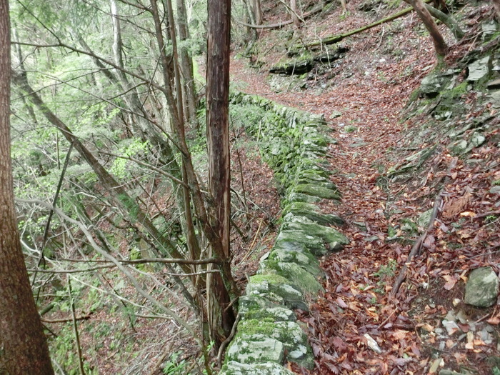b0185573_15393597.jpg