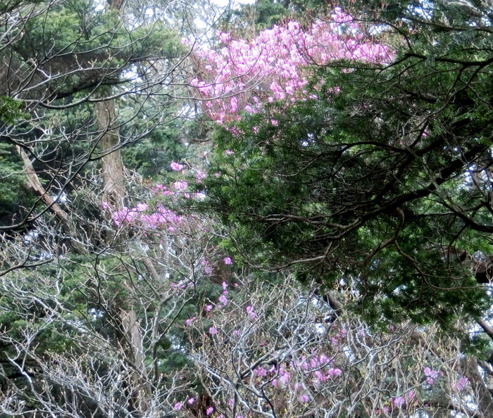 b0185573_16523730.jpg