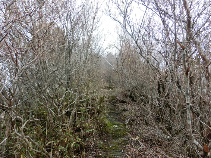 b0185573_17252723.jpg