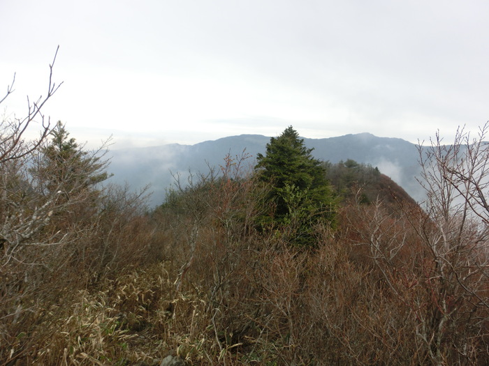 b0185573_18125322.jpg