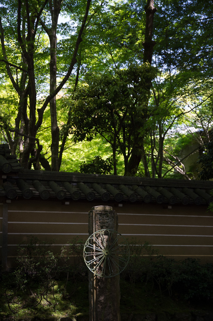 嵯峨野の新緑　点景_a0301676_10485173.jpg