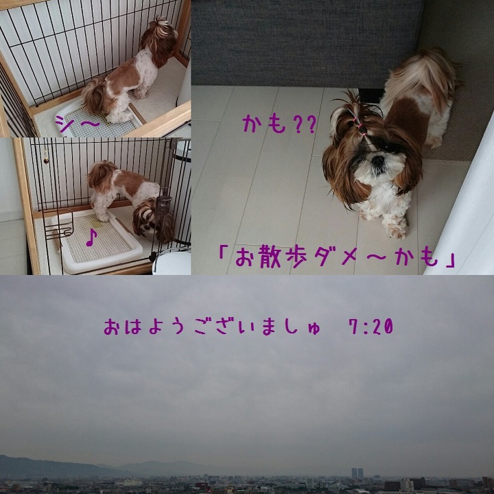 c0363378_17074488.jpg