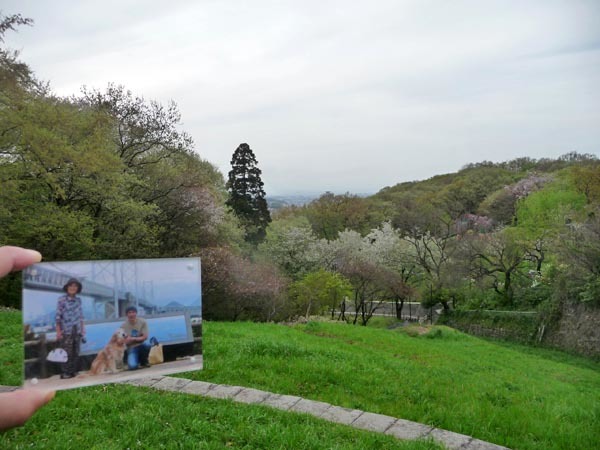 4月9日と昨年12月21日の桜ヶ丘公園でジョン再び_e0133780_13125109.jpg