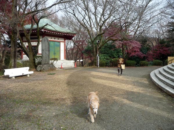 4月9日と昨年12月21日の桜ヶ丘公園でジョン再び_e0133780_14011984.jpg