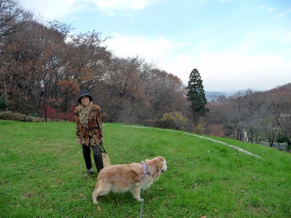 4月9日と昨年12月21日の桜ヶ丘公園でジョン再び_e0133780_14384964.jpg