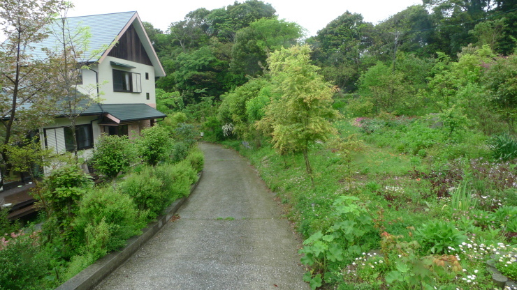 c0212083_18390767.jpg