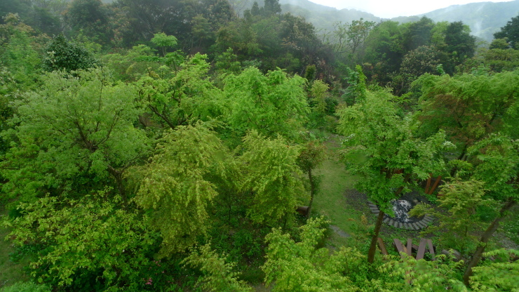 c0212083_18393331.jpg