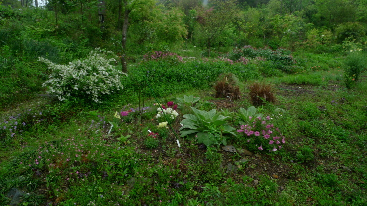 c0212083_18403576.jpg