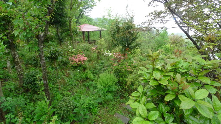 c0212083_18410540.jpg