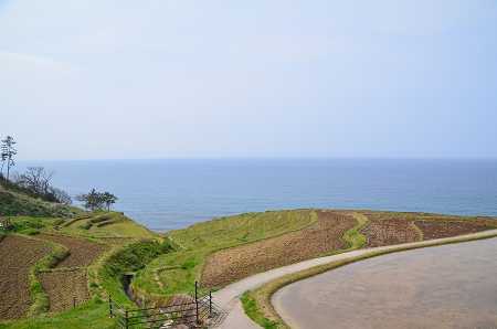 c0229483_17104459.jpg