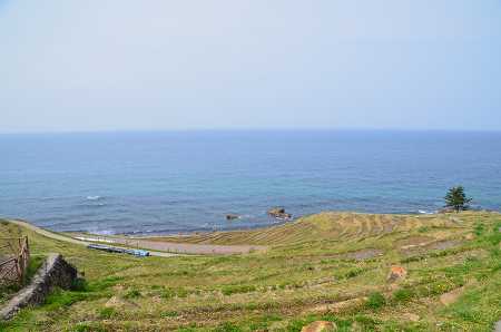 c0229483_1710666.jpg