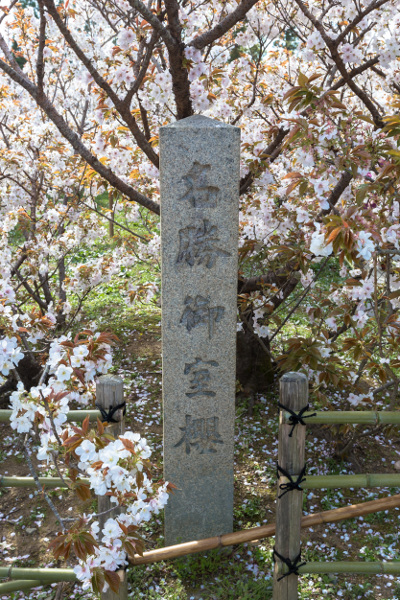 御室仁和寺_e0051888_22421360.jpg