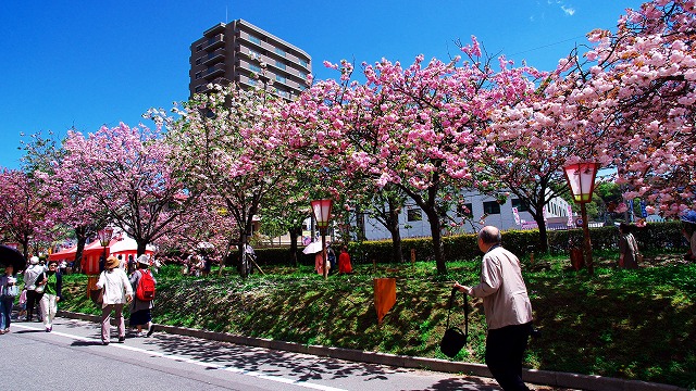 d0179594_13422579.jpg