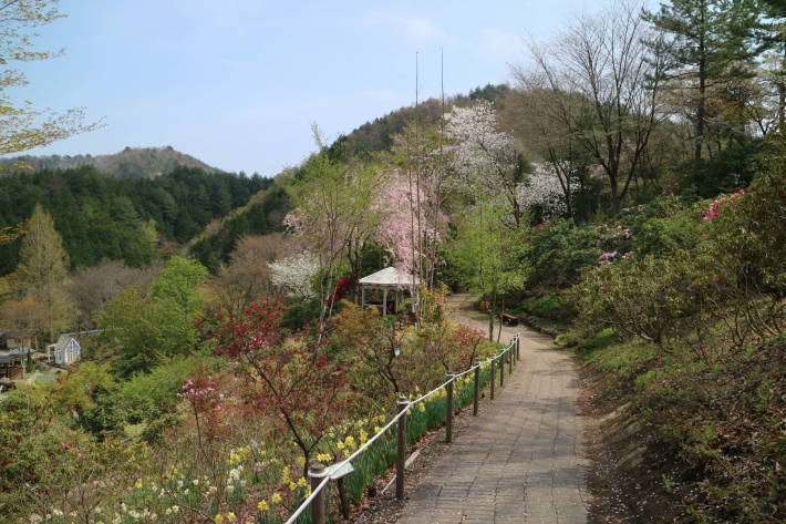 f0075595_00180767.jpg