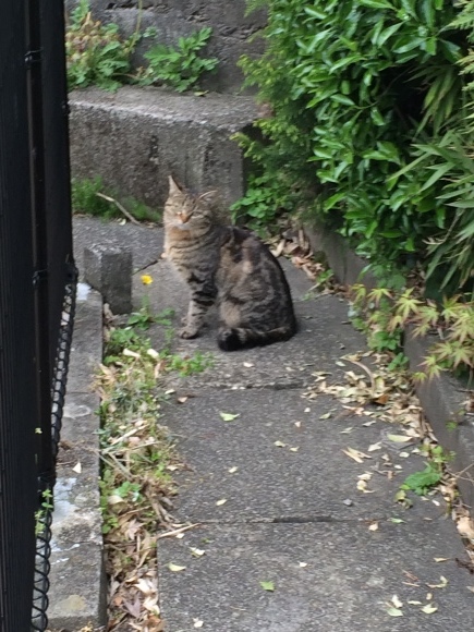 d0239796_16543466.jpeg