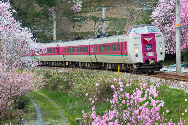 桜の木野山駅へ_d0001300_14122999.jpg