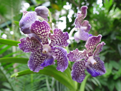 c0212604_2220678.jpg