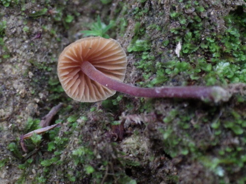 e0352220_00002116.jpg