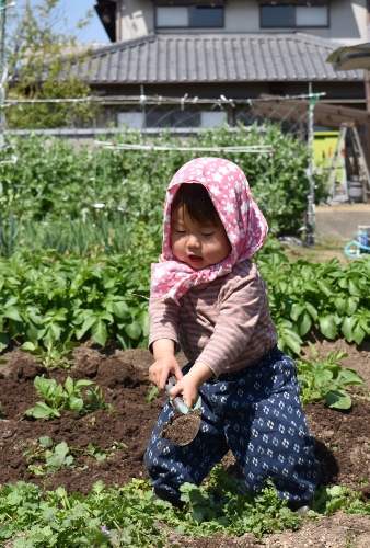 農家の小さいおばちゃん頑張る_a0274324_13342722.jpg