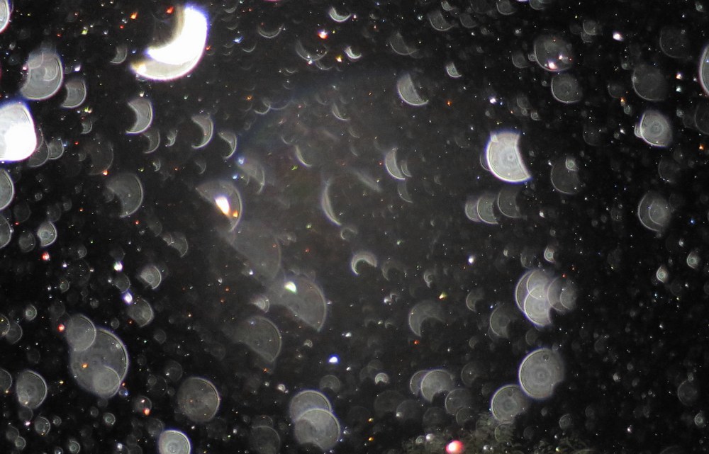 c0331825_11072913.jpg