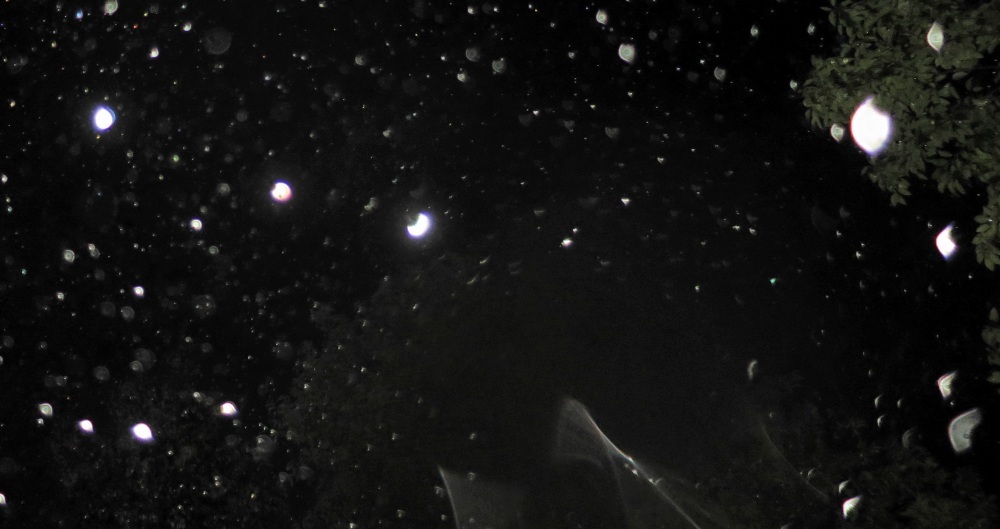 c0331825_11220277.jpg