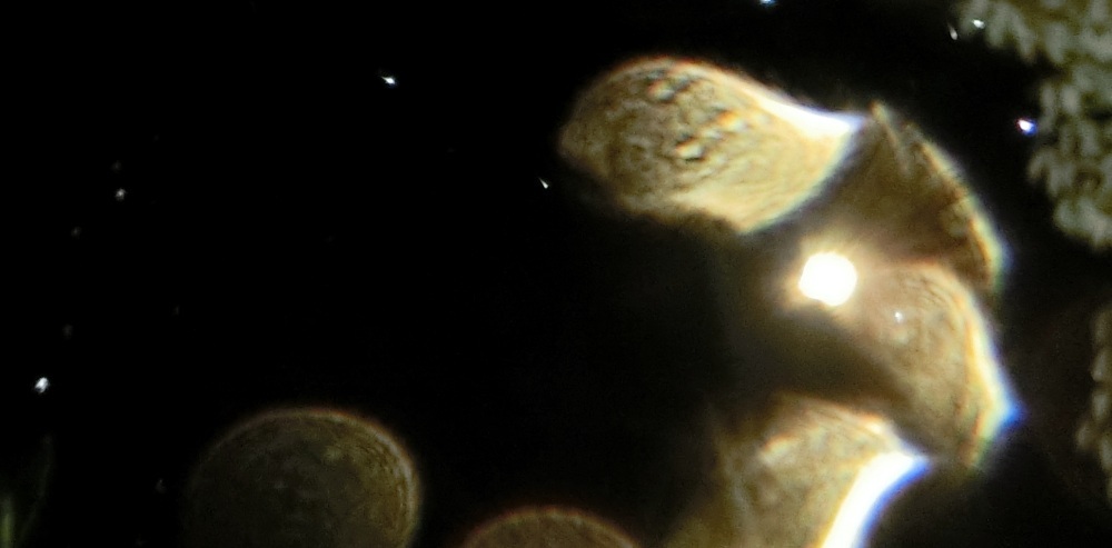 c0331825_11394680.jpg