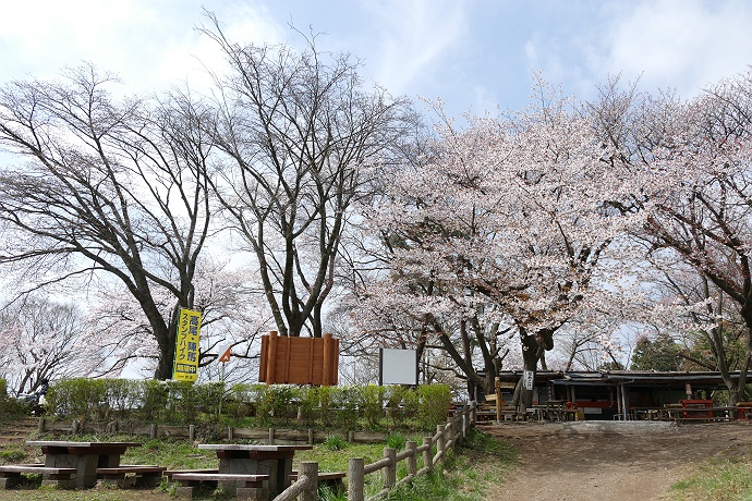 北東尾根から城山、そして高尾山へ　その５_c0196928_6494690.jpg