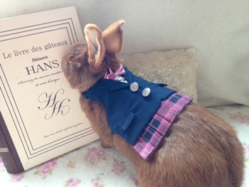 うさぎ座談会~出張販売~_b0119429_19282331.jpg