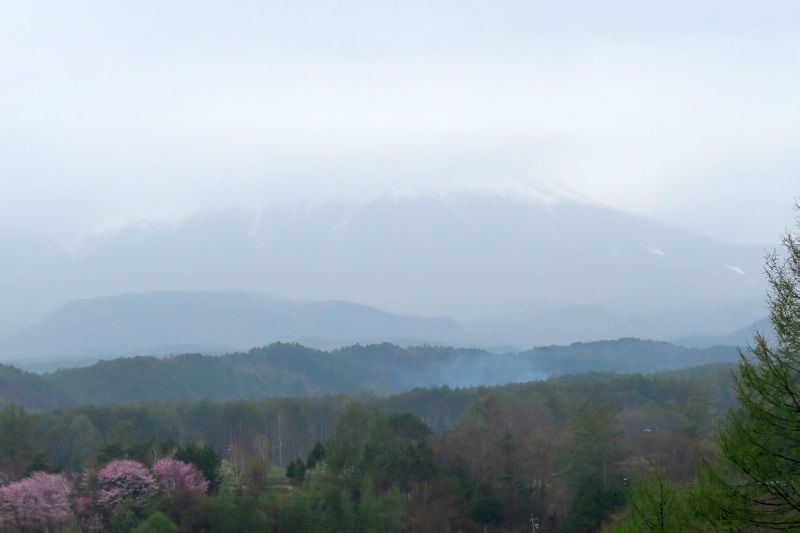 フツーのステラを楽しむ_f0076731_11220577.jpg