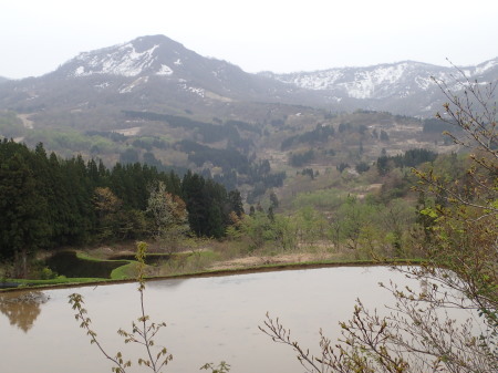 c0353632_22501699.jpg