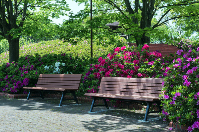 家内の好きだった公園 仏生山公園の ベンチ Muragi の 写真の世界