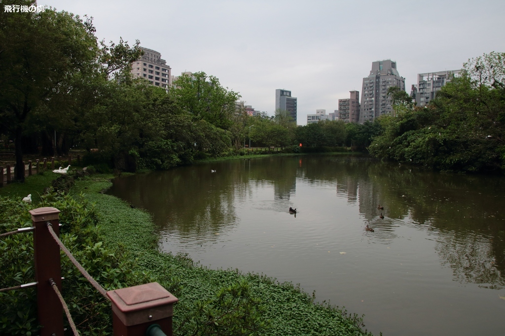 b0313338_00163197.jpg